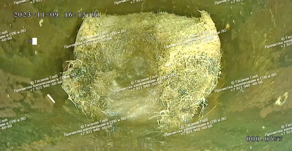 видеоинспекция корни в канализации
